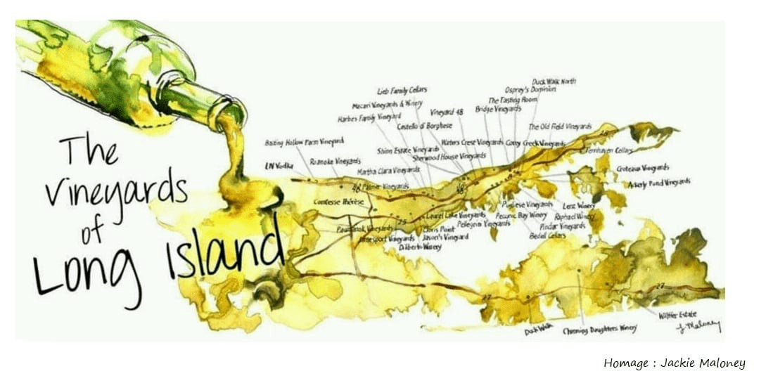 The Long Island Vineyards - NYC Wine Tours